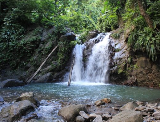 Cascade Didier